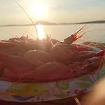 Koselig Ved Fjorden Med Panorama Utsikt Hébergement de vacances Hjelmeland